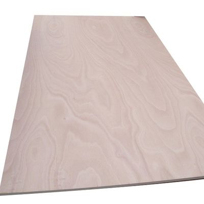 Oguman Plywood in Industrial Design Style with Local Vietnamese Face/Back Veneer Board