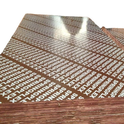 Hotel Grade Pine Main Material 6/9/12/15/18mm Commercial Plywood for Packing at Best