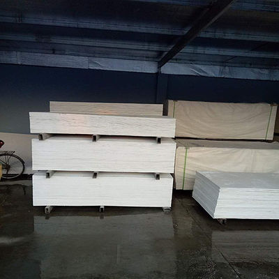 Modern Apartment Design Silicate Calcium Exterior Wall Board for Construction Projects