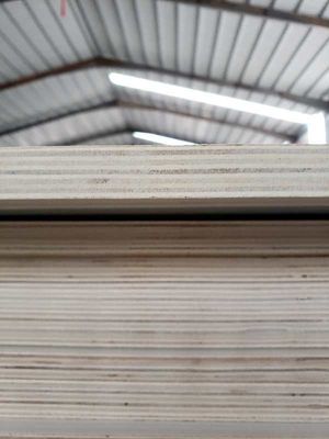 Indoor Wooden Veneer Board Panel with E1 Standard and Paint-free Ecological Board