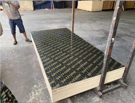 12mm Film Faced Plywood for Construction Veneer Board Surface Material Melamine Board