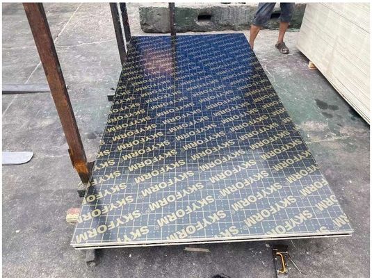 12mm Film Faced Plywood for Construction Veneer Board Surface Material Melamine Board