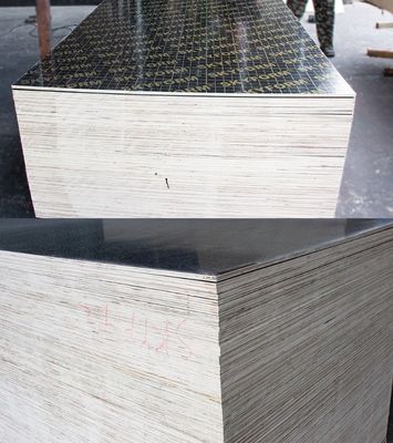 12mm Film Faced Plywood for Construction Veneer Board Surface Material Melamine Board