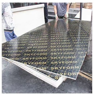 12mm Film Faced Plywood for Construction Veneer Board Surface Material Melamine Board