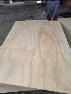 FIRST-CLASS Manufacture All Kinds Of Okoume Hardwood Plywood with Modern Design Style
