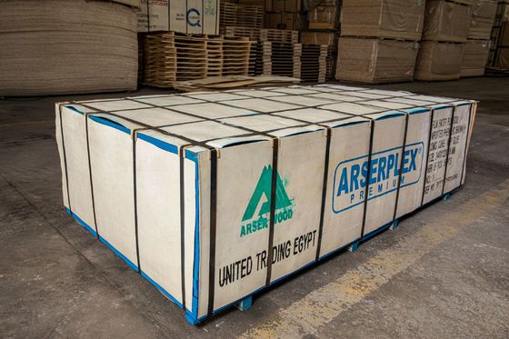 FIRST-CLASS Plastic Laminated Plywood with High Production Standards and Competitive