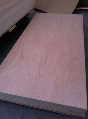 Oguman Plywood in Industrial Design Style with Local Vietnamese Face/Back Veneer Board