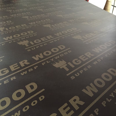 Flexible Plywood Film Faced Plywood for Hotel Decoration of Double-Sided Design