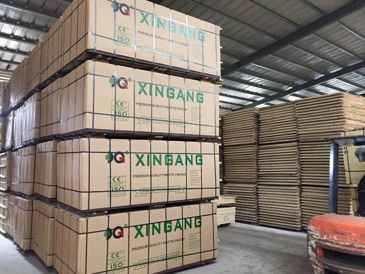 Flexible Plywood Film Faced Plywood for Hotel Decoration of Double-Sided Design