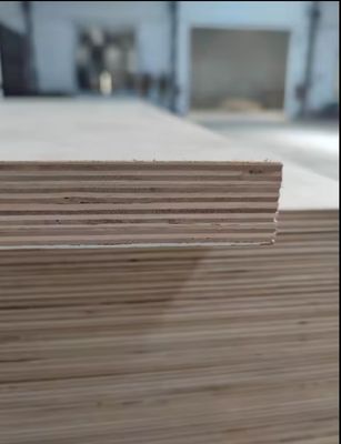 Customized Waterproof Marine 3mm-21mm Melamine Laminated Plywood for Hotel Decoration