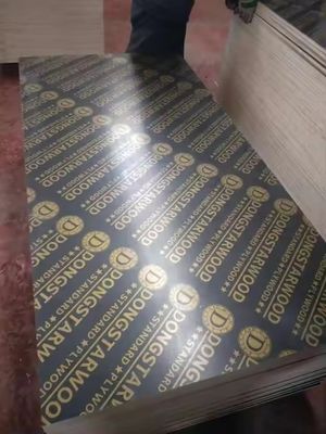 E1 Formaldehyde Emission Standards 18mm Marine Plywood for Construction Film Faced