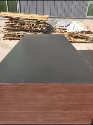E1 Formaldehyde Emission Standards 18mm Marine Plywood for Construction Film Faced