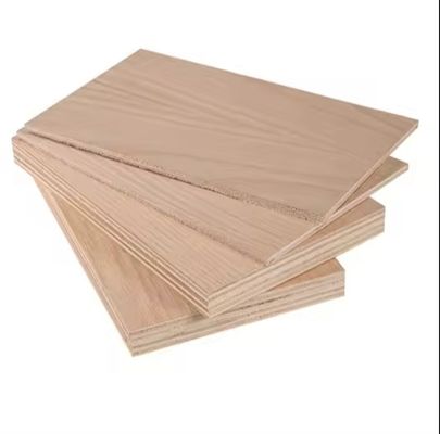 Nonmetal Panel Material 6mm 18mm 25mm Birch Wood Veneer Furniture Plywood for Indoor Work