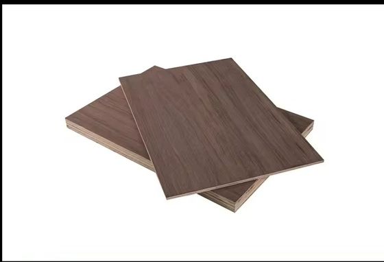 Nonmetal Panel Material 6mm 18mm 25mm Birch Wood Veneer Furniture Plywood for Indoor Work