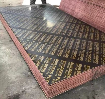 Modern Pine Shuttering Anti-Slip Plywood for Construction 4x8 9mm 12mm 15mm 18mm 21mm