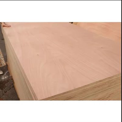 Indoor E1 Formaldehyde 18mm Waterproof Panels Commercial Hardwood Okoume Marine Sheet 4x8