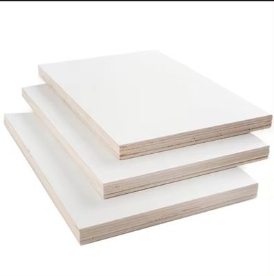 1220x2440mm White Laminated Nonmetal Melamine MDF Plywood Board for Apartment Furniture