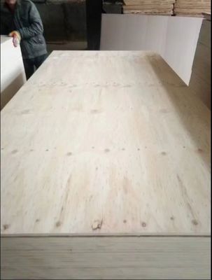 Modern Design 1/2 3/4 5/8 Inch Pine Plywood Waterproof and Durable Made in Linyi City