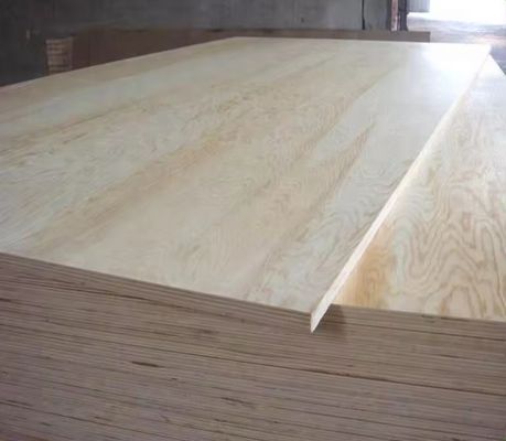 4x8 Feet 1/2 3/4 5/8 Thickness Melamine Plywood for Nonmetal Panel Material in Morocco